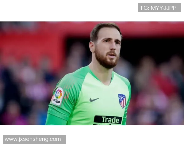 全球最贵足球的背后故事与市场价值分析